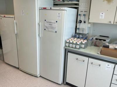 Immagine panoramica di LIEBHERR Comfort NoFrost Freezer -32°C